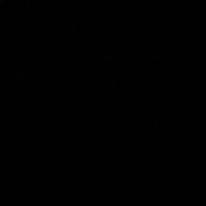 Meet your Posher, Bianca